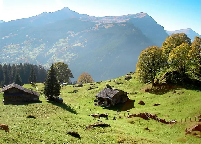 Holiday home Ahornen By Interhome